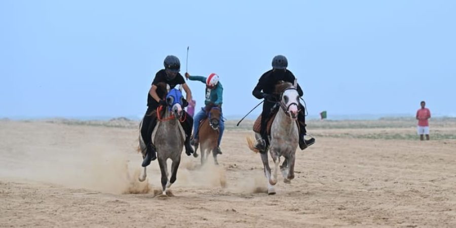 فعاليات ومناشط الفروسية