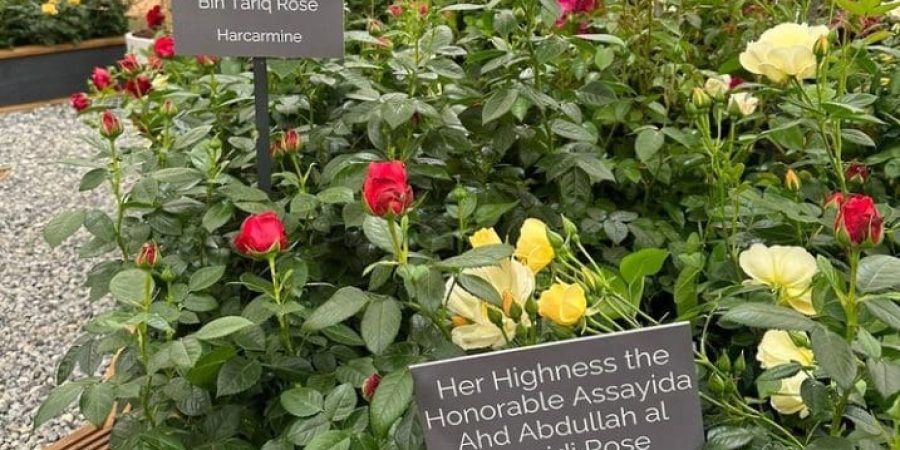 تدشين وردة جلالة السُّلطان والسيدة الجليلة